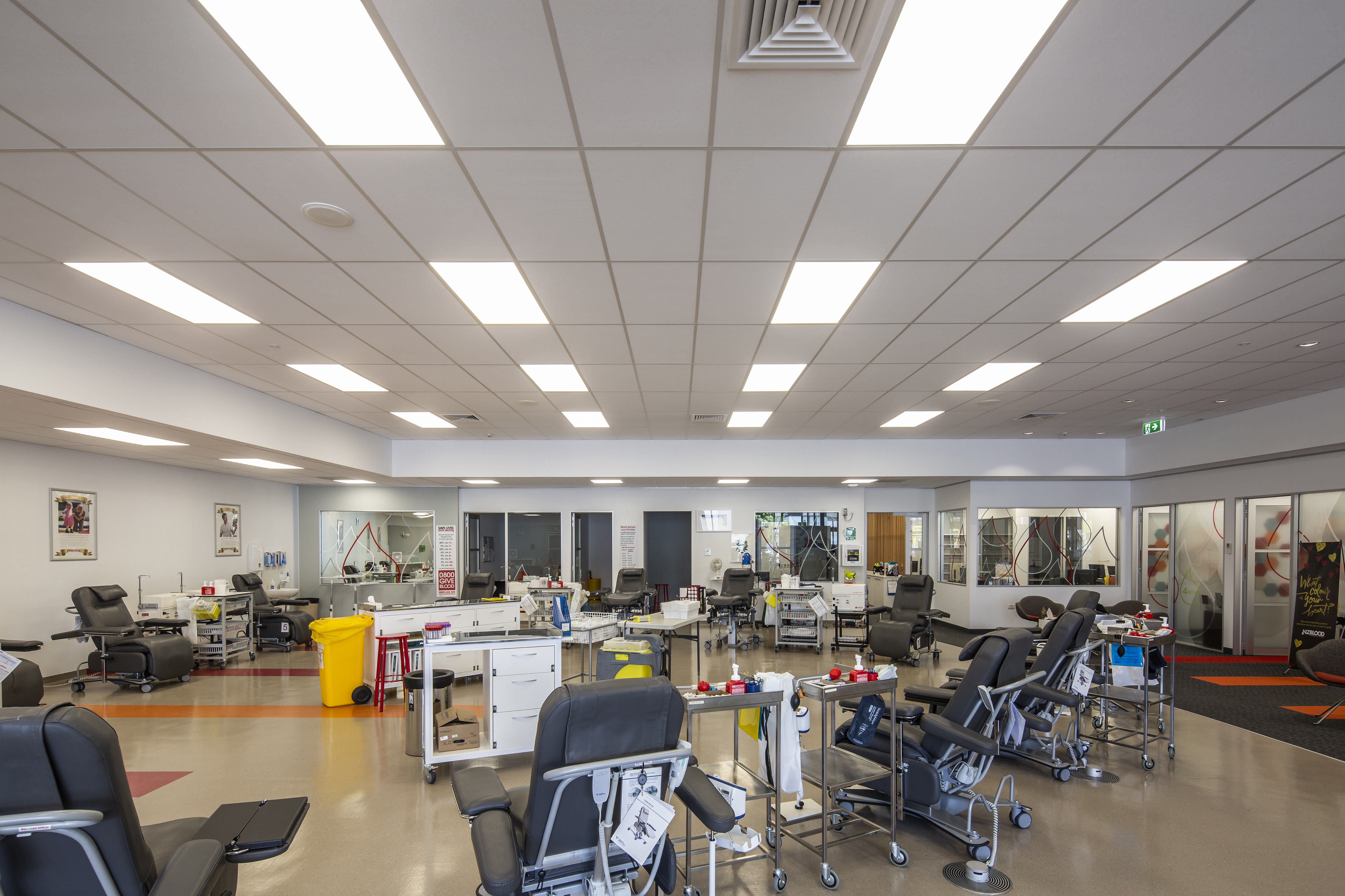 Mainland Interiors nz-blood-office-ceiling-01 Home  