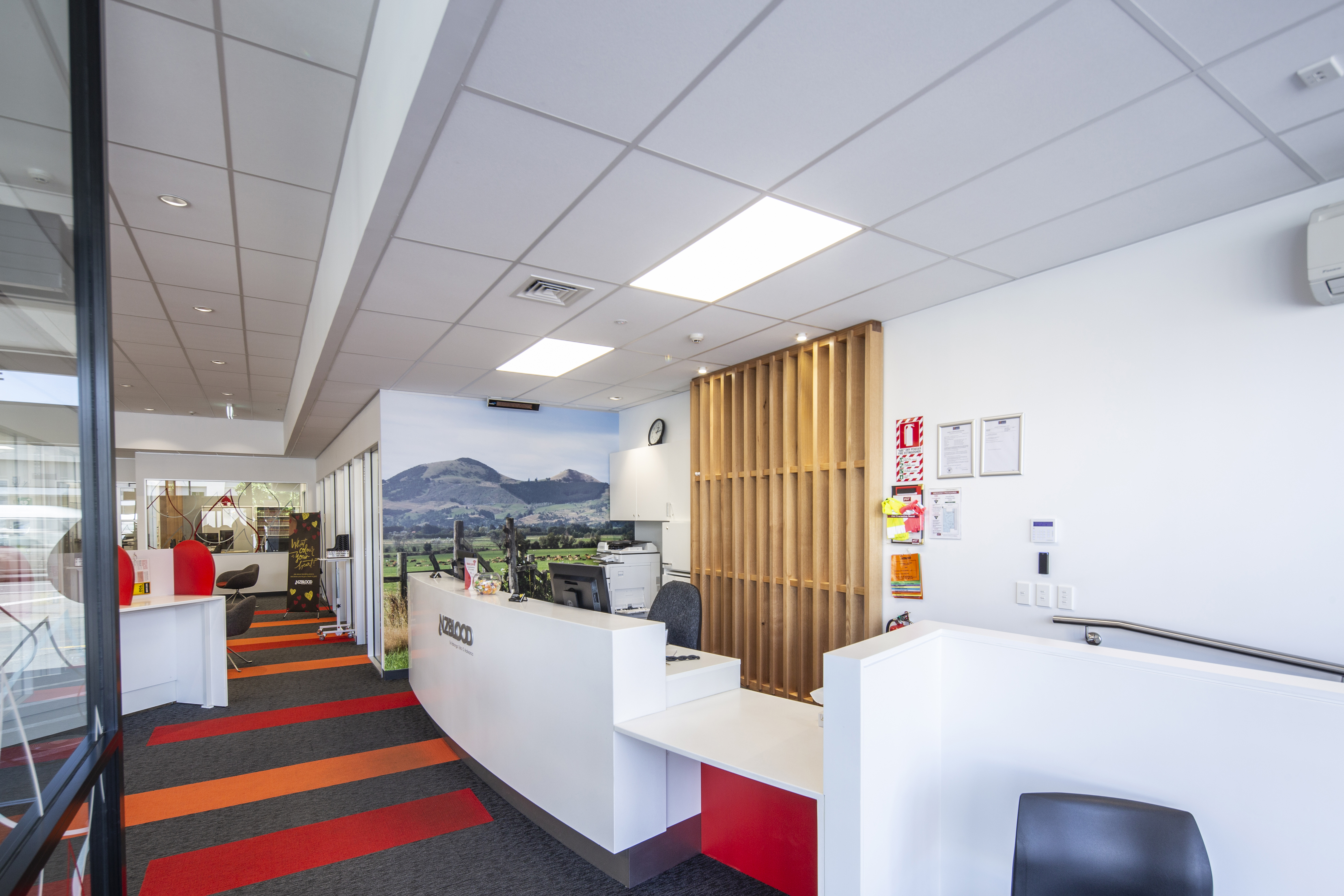 Mainland Interiors nz-blood-office-ceiling-03 Home  