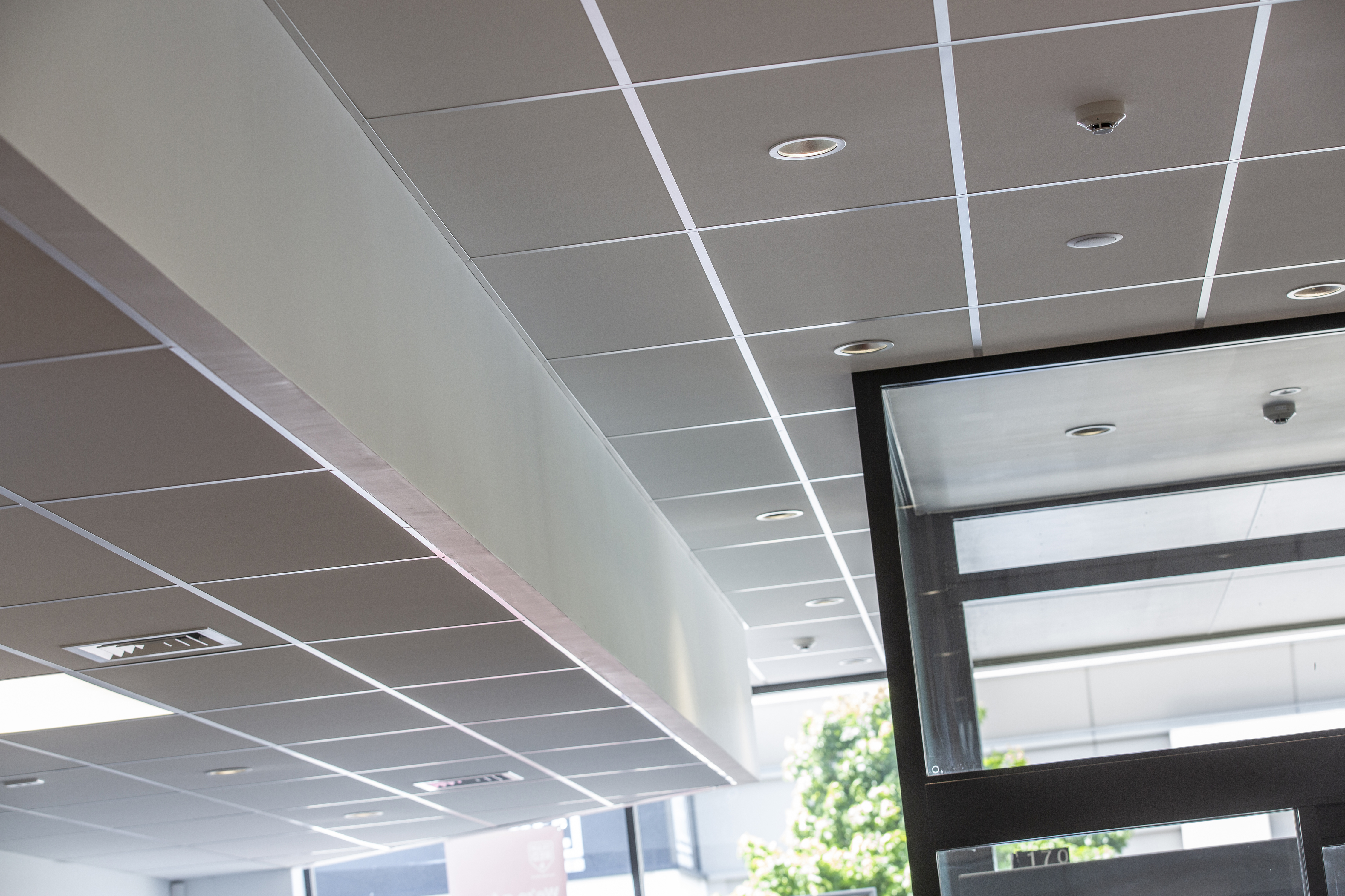 Mainland Interiors nz-blood-office-ceiling-04 Home  
